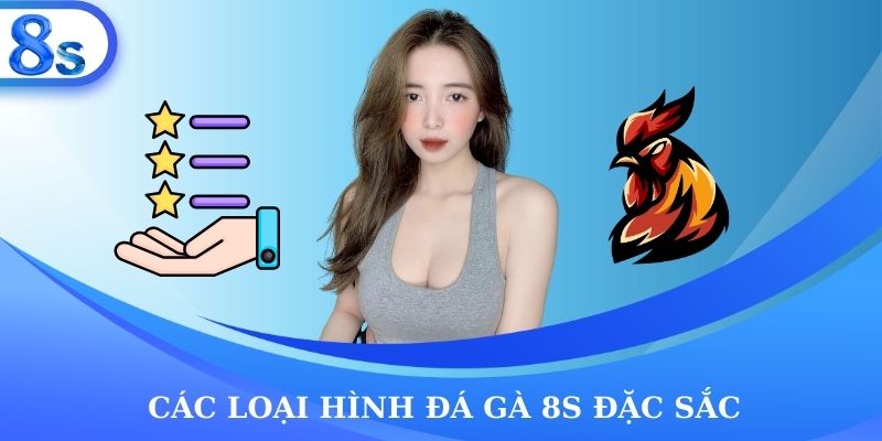 Các loại hình đá gà 8s đặc sắc