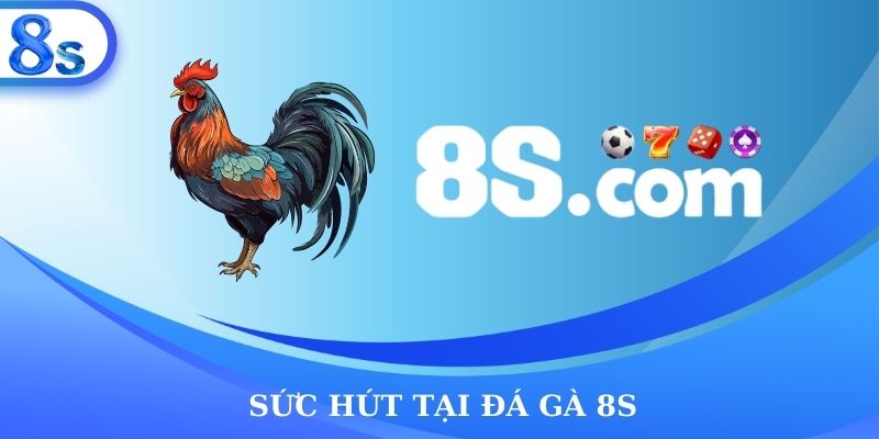Sức hút tại đá gà 8S