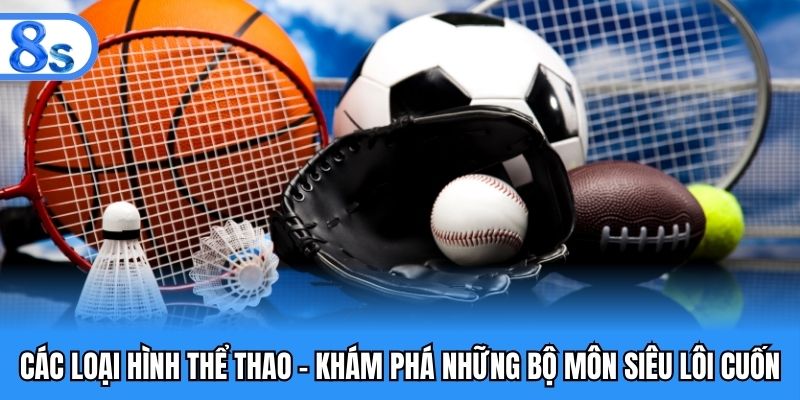 các loại hình thể thao