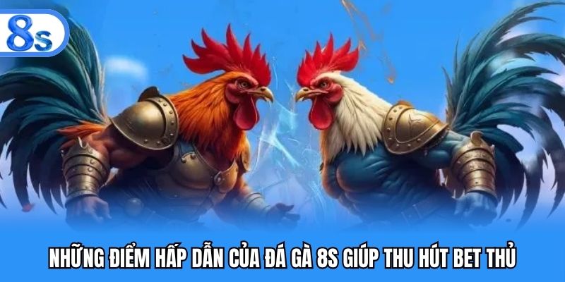 Những điểm hấp dẫn của đá gà 8S giúp thu hút bet thủ