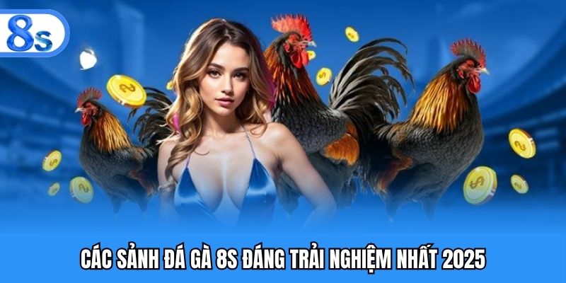 Các sảnh đá gà 8S đáng trải nghiệm nhất 2025