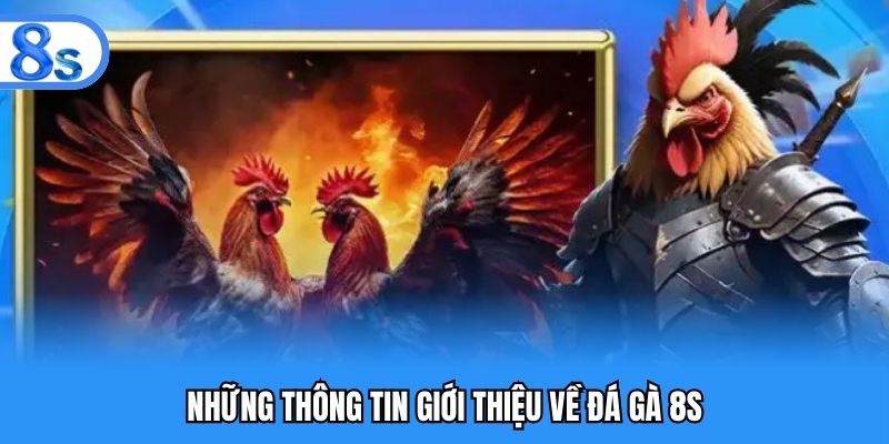 Những thông tin giới thiệu về đá gà 8S