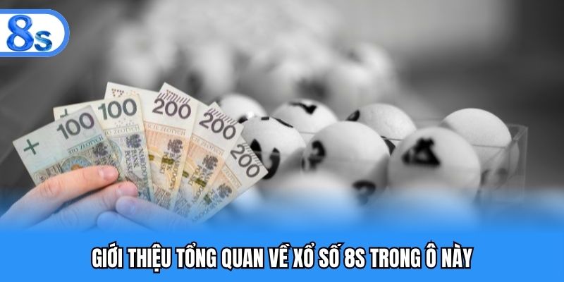 Giới thiệu tổng quan về xổ số 8S