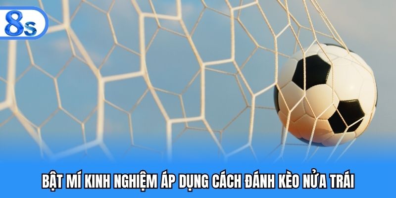 Bật mí kinh nghiệm áp dụng cách đánh kèo nửa trái