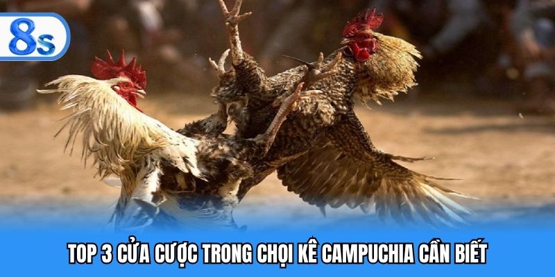 Top 3 cửa cược trong chọi kê Campuchia cần biết