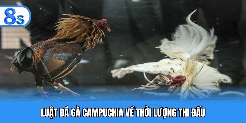 Luật đá gà Campuchia về thời lượng thi đấu