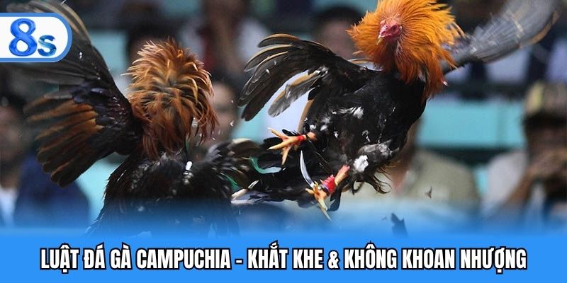 luật đá gà Campuchia