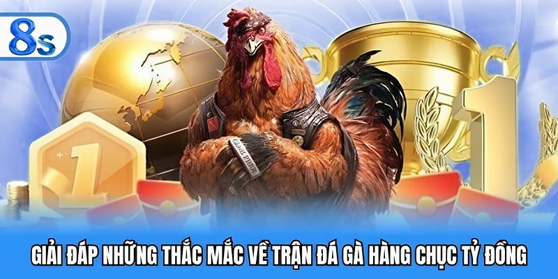 Giải đáp những thắc mắc về trận đá gà hàng chục tỷ đồng