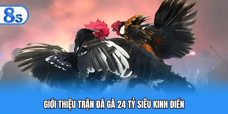 Giới thiệu trận đá gà 24 tỷ siêu kinh điển