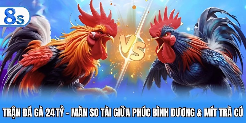 trận đá gà 24 tỷ