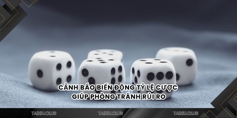 Cảnh báo biến động tỷ lệ cược giúp phòng tránh rủi ro